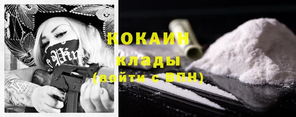 бошки Новодвинск