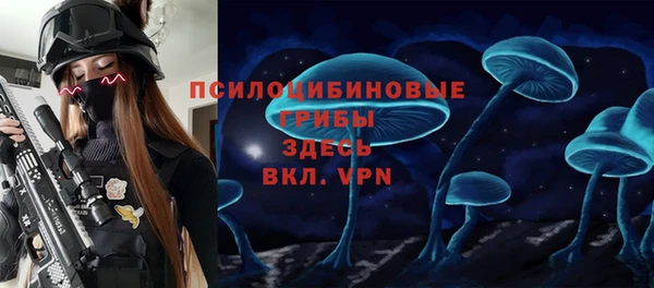 бошки Новодвинск