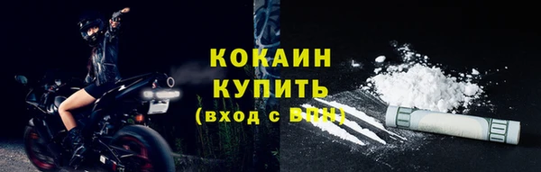 хмурый Новозыбков