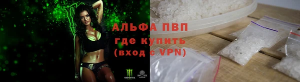 хмурый Новозыбков