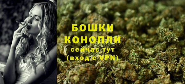 хмурый Новозыбков