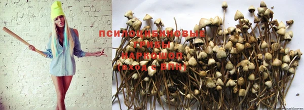бошки Новодвинск