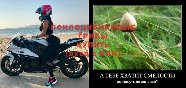 хмурый Новозыбков