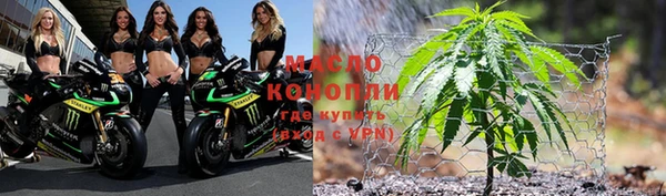 хмурый Новозыбков