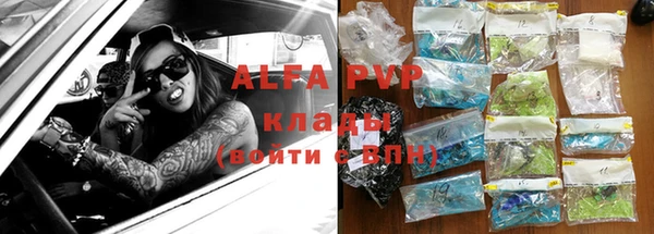 сатива Нягань