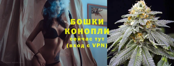 хмурый Новозыбков